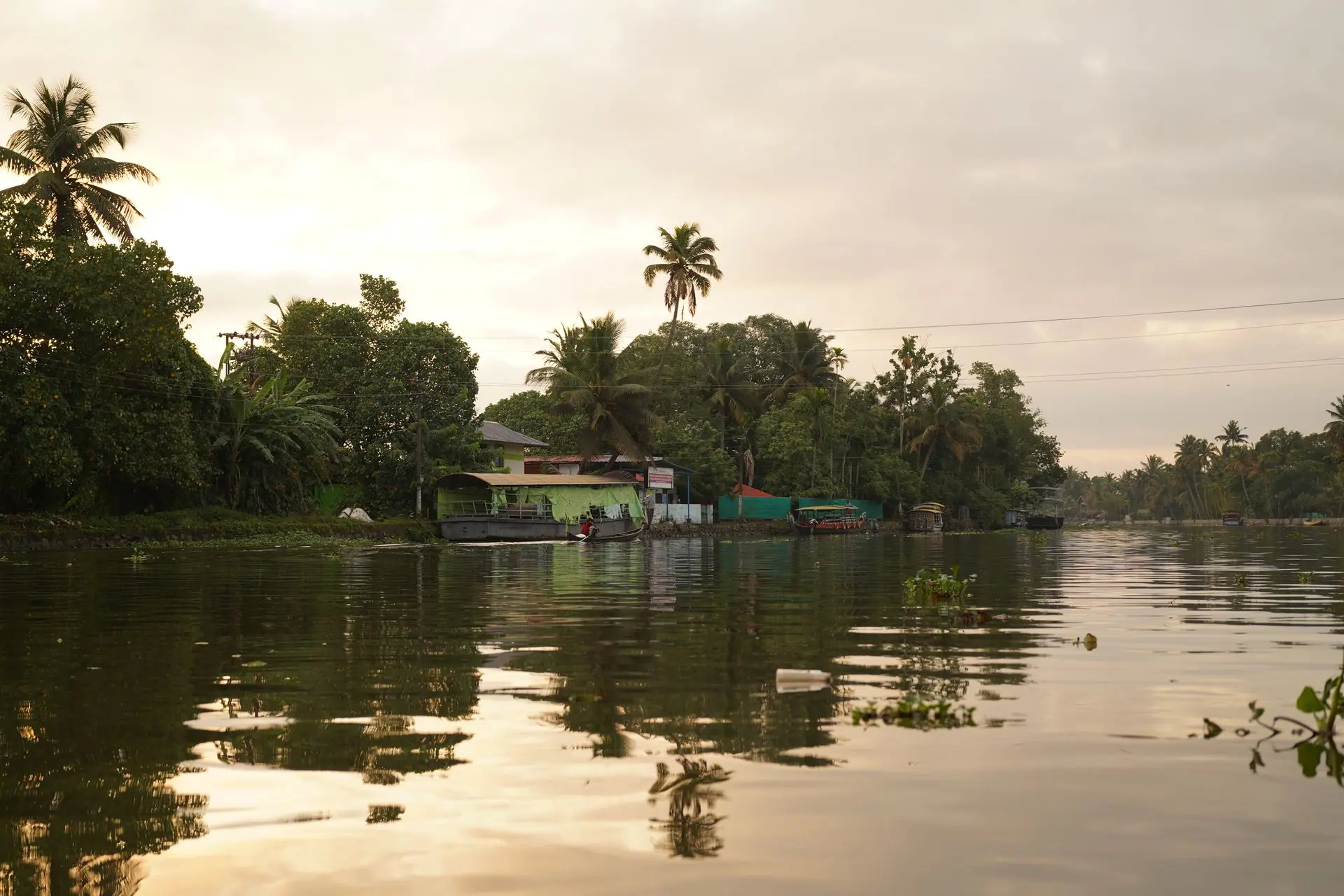 Scenic view of the Alappuzha backwaters at sunset with lush greenery and tranquil water reflections