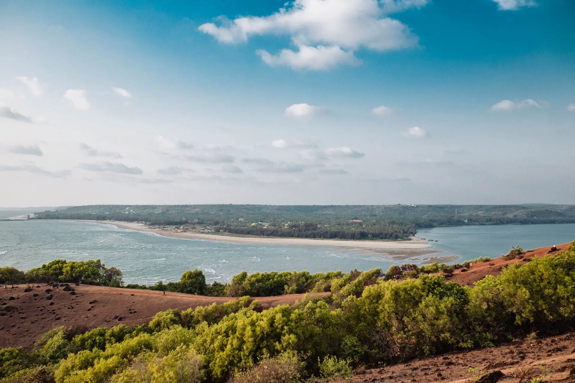 A picturesque view of Mandrem Beach with lush greenery and blue sky in Goa, India