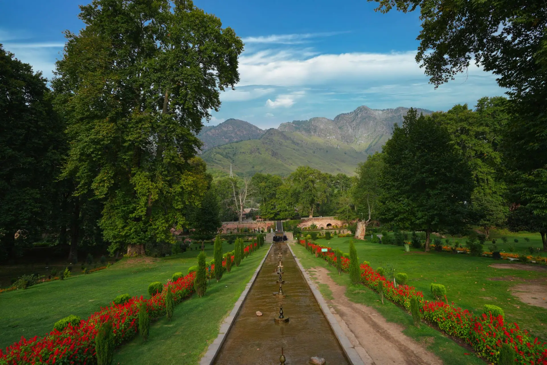 Lush green landscape of Nishat Garden with mountain backdrop in Jammu and Kashmir