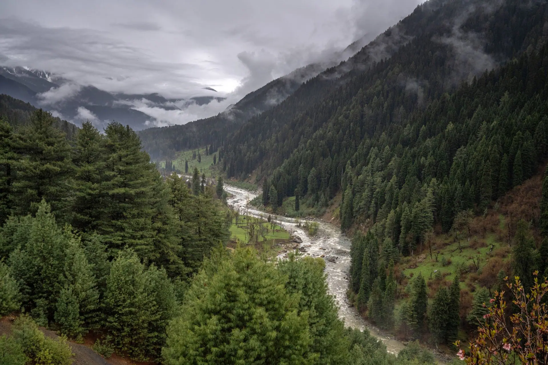 Lush green valley with a winding river in Pahalgam, Kashmir, under cloudy skies