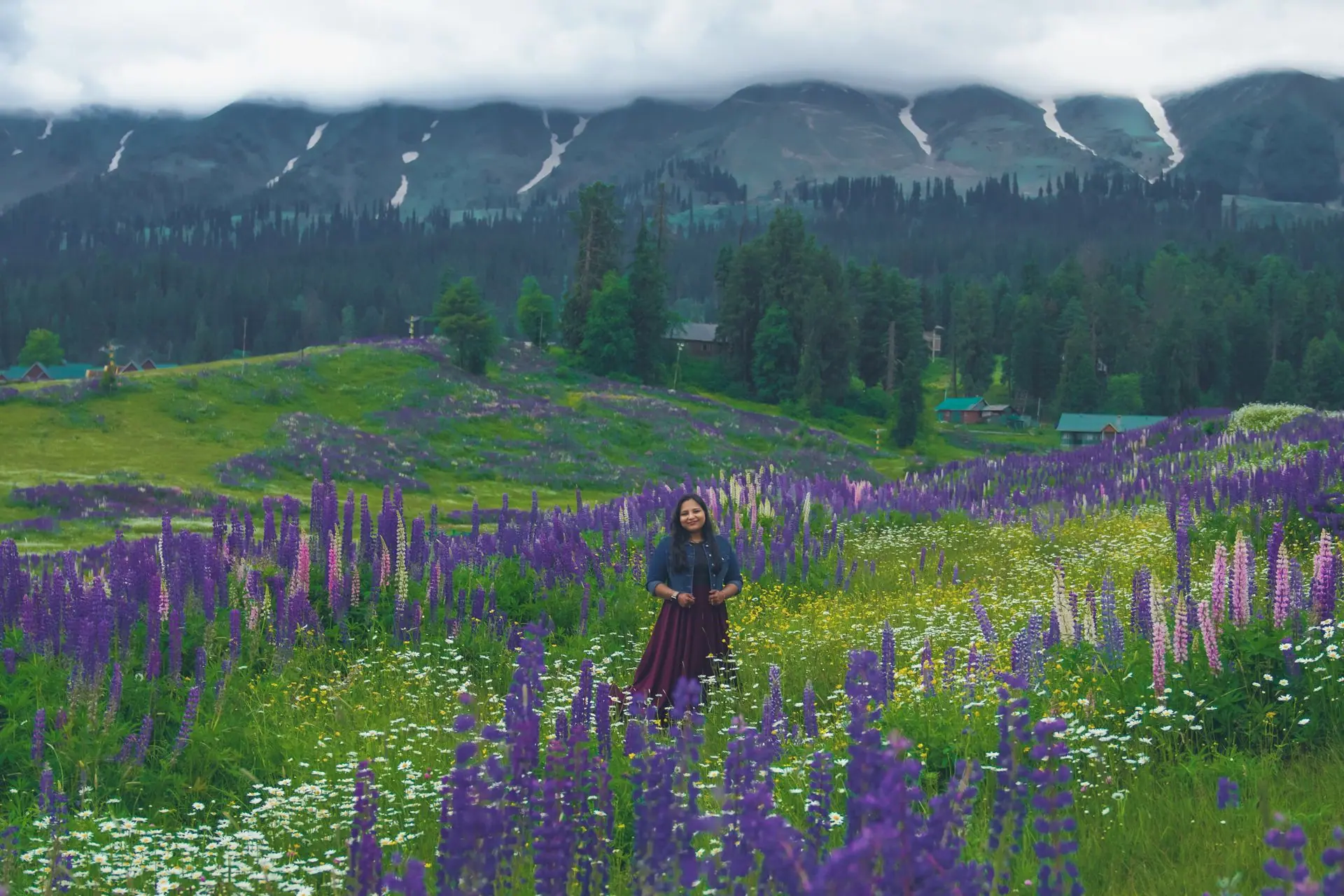 A woman stands in a lush lavender field in Gulmarg, surrounded by mountains and vibrant floral scenery