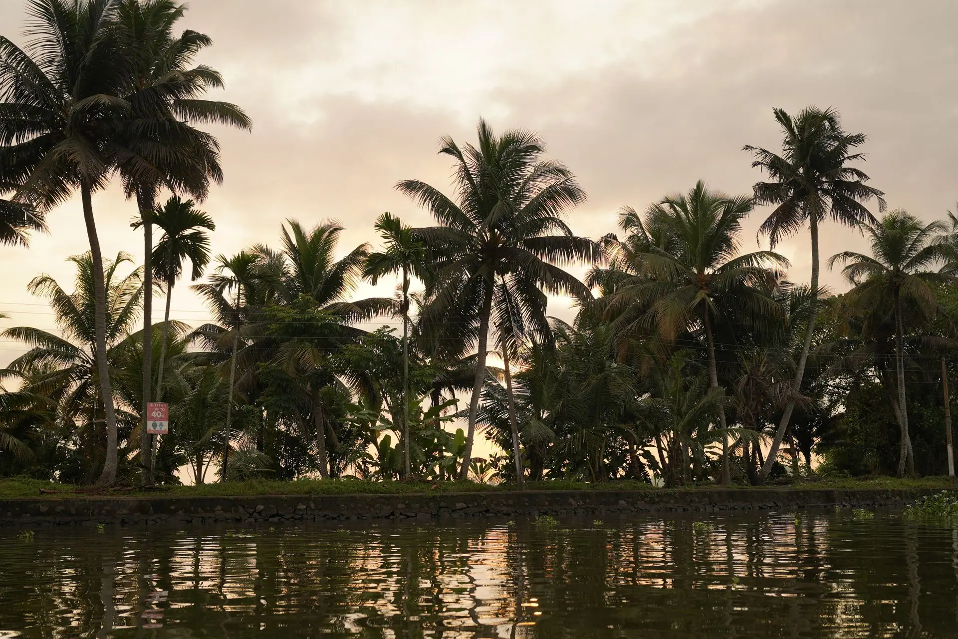 Serene sunset behind lush palm trees along the waterside in Alappuzha, Kerala