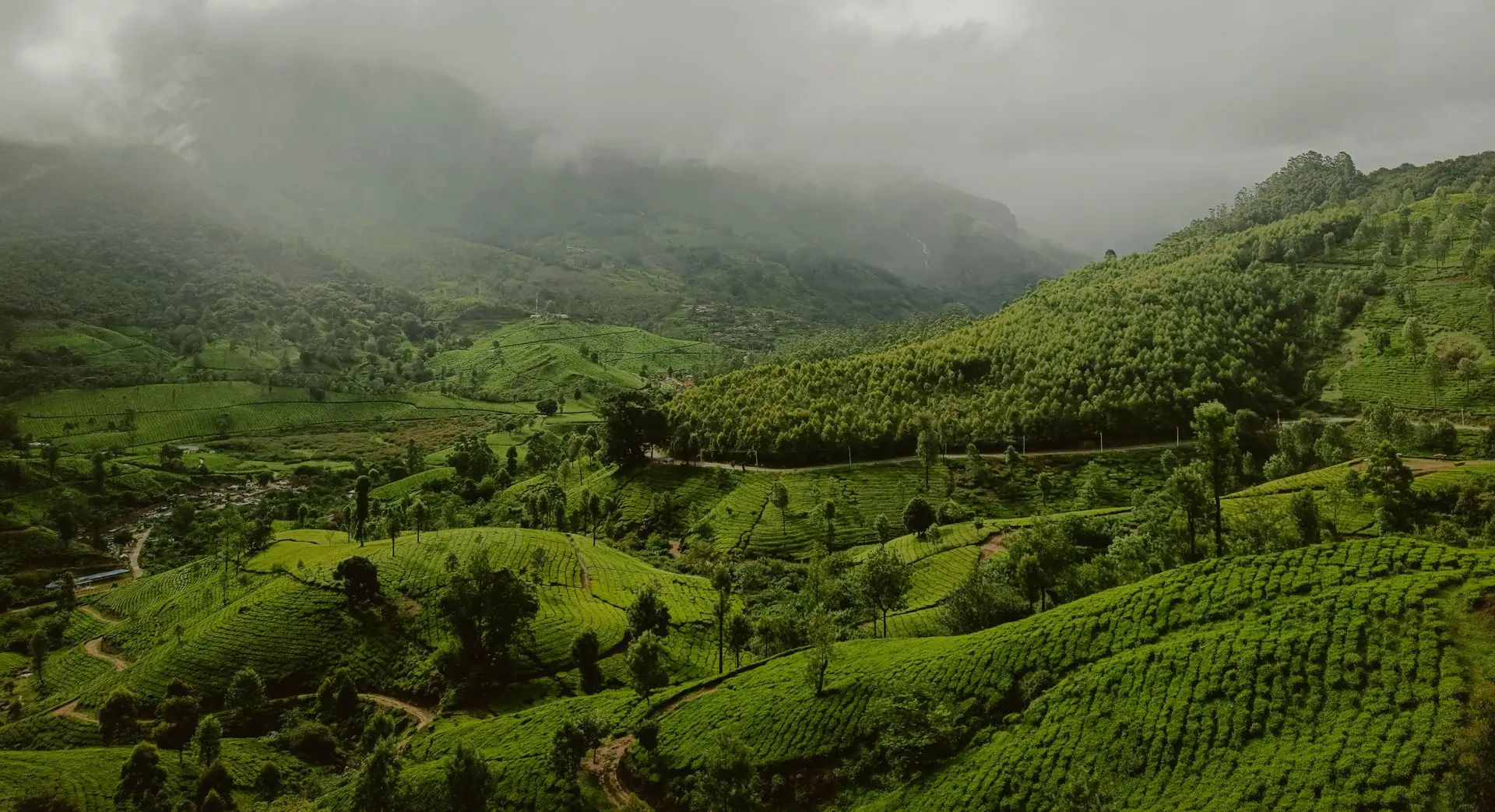 Munnar