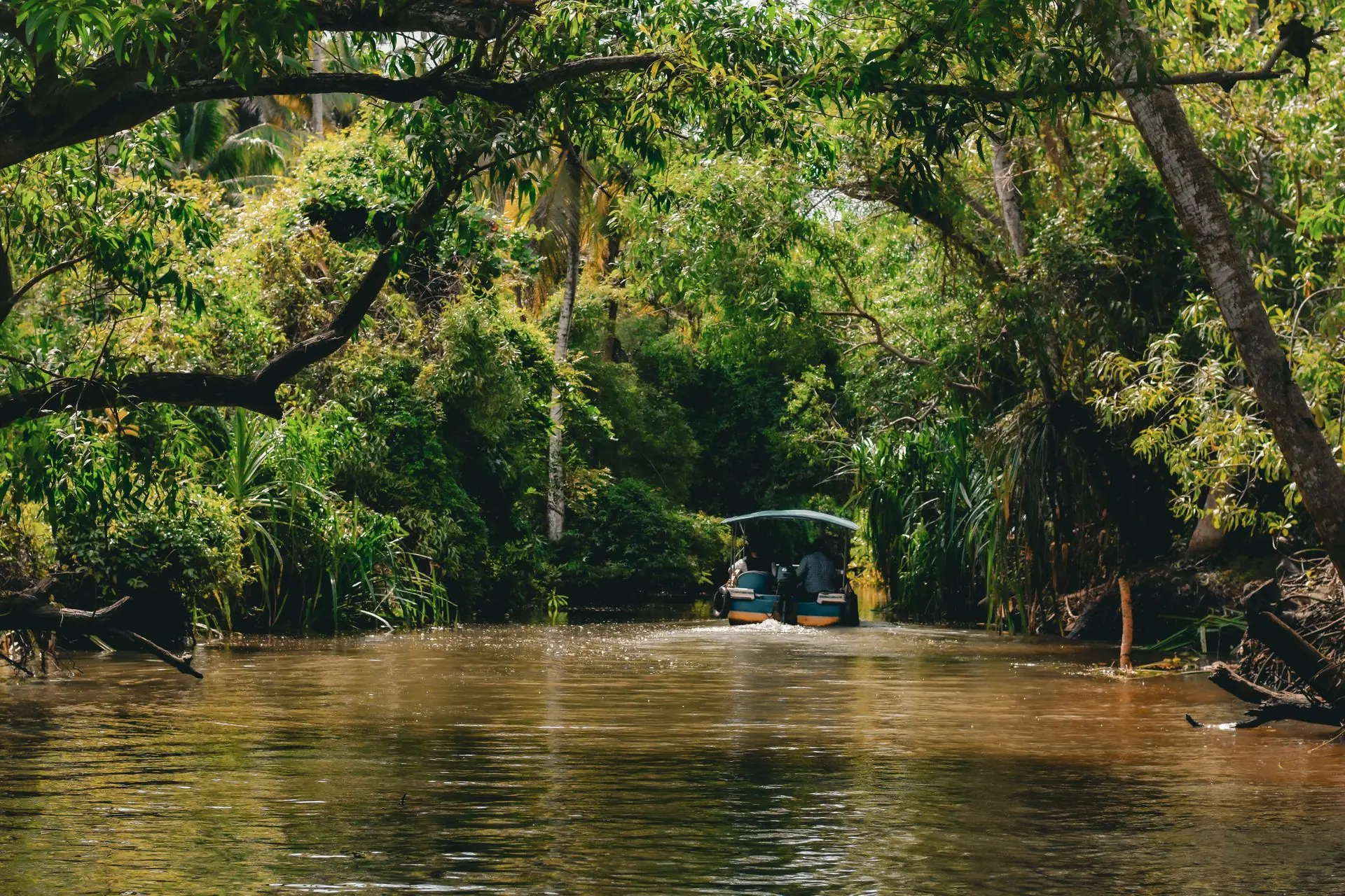Experience tranquility on a boat ride through lush green backwaters of Kumarakom, Kerala, India