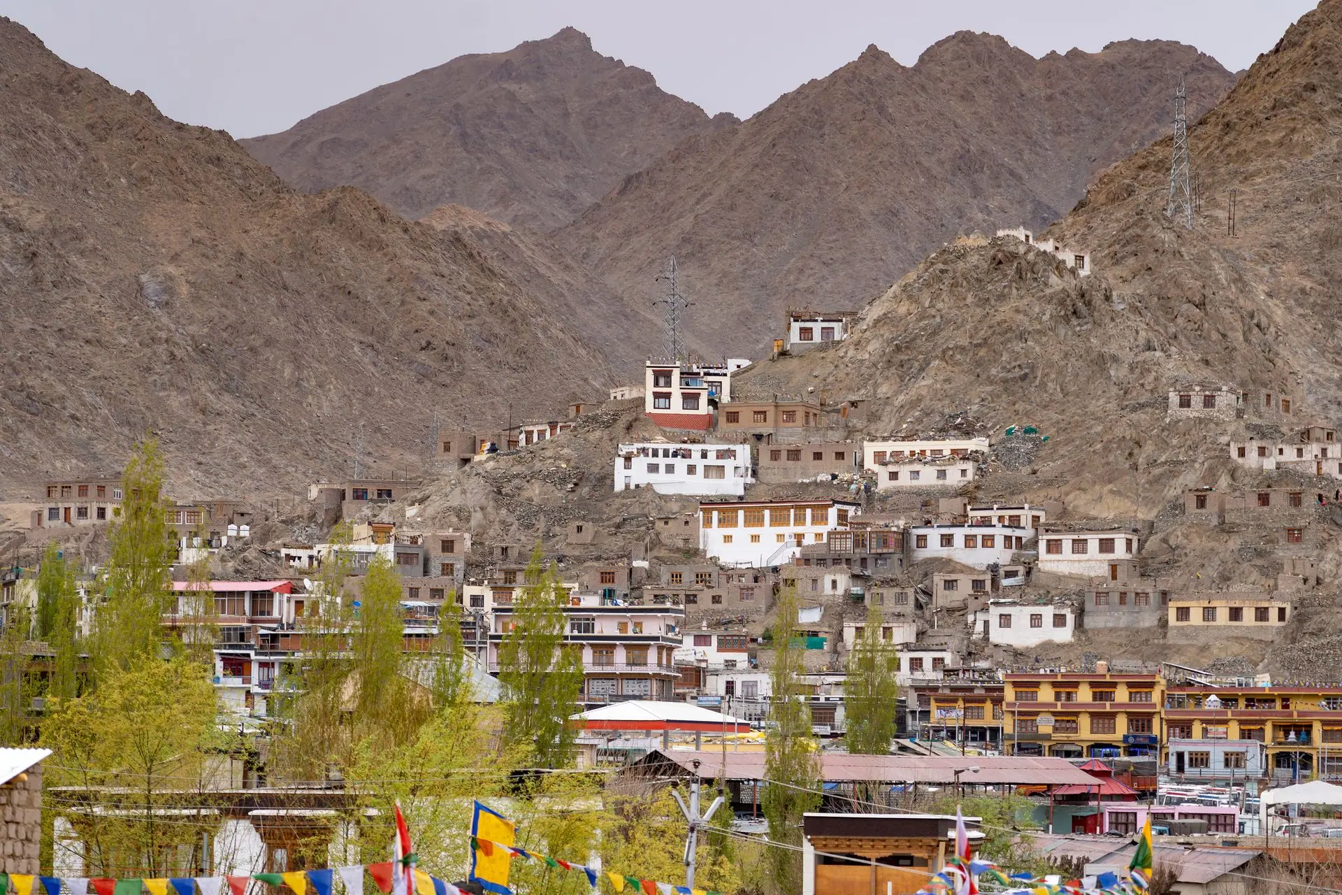 Charming hillside town of Leh in Ladakh, framed by majestic mountains. A unique blend of culture and nature