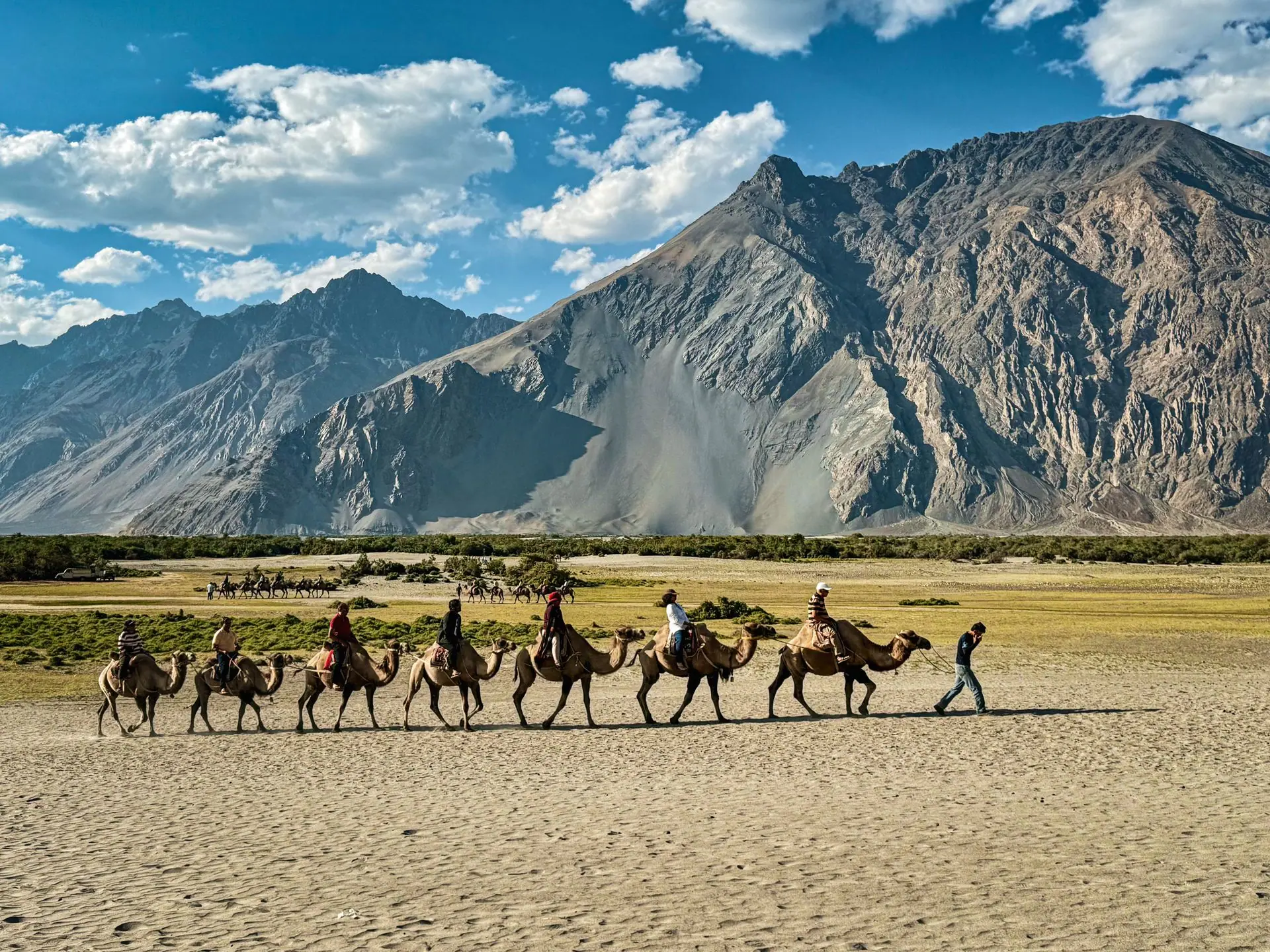 A scenic camel ride in Diskit, Nubra Valley, with stunning mountainous backdrop and clear blue skies