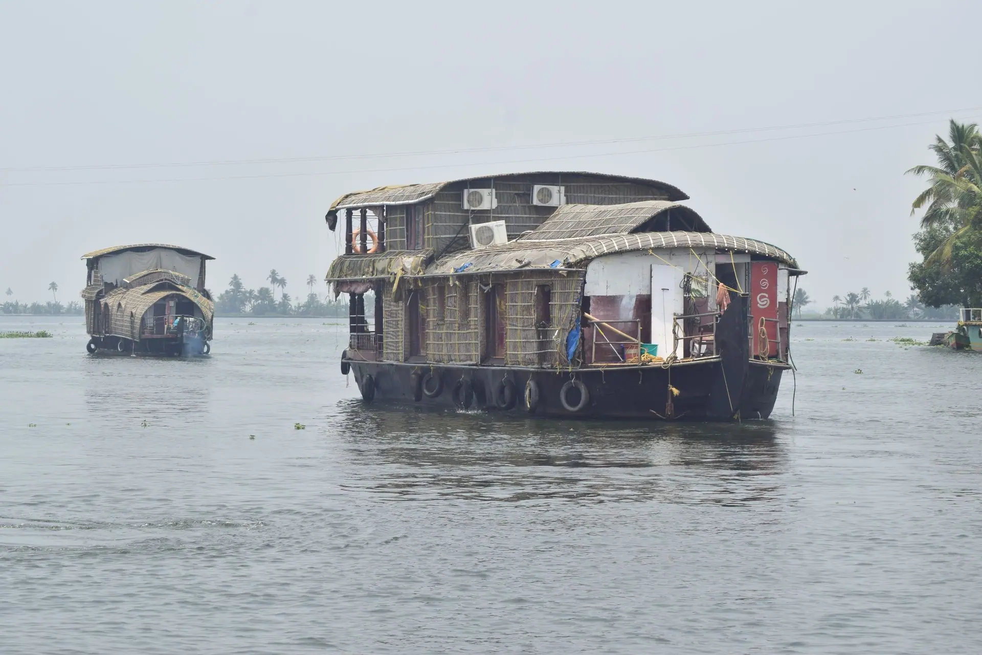 Traditional houseboats cruise the serene backwaters of Alappuzha, Kerala, India