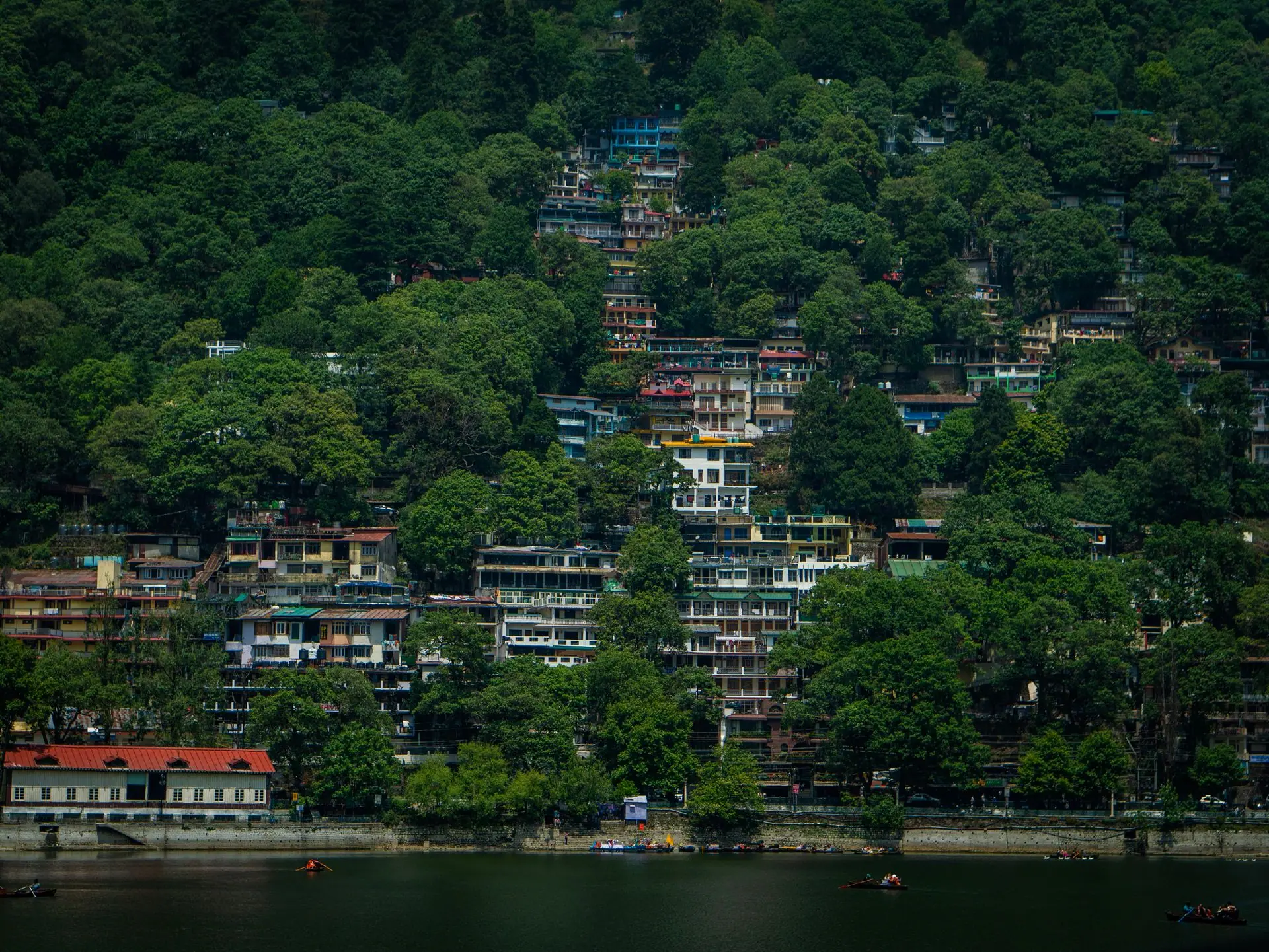 A picturesque view of hillside buildings surrounded by lush green forest in Nainital, India