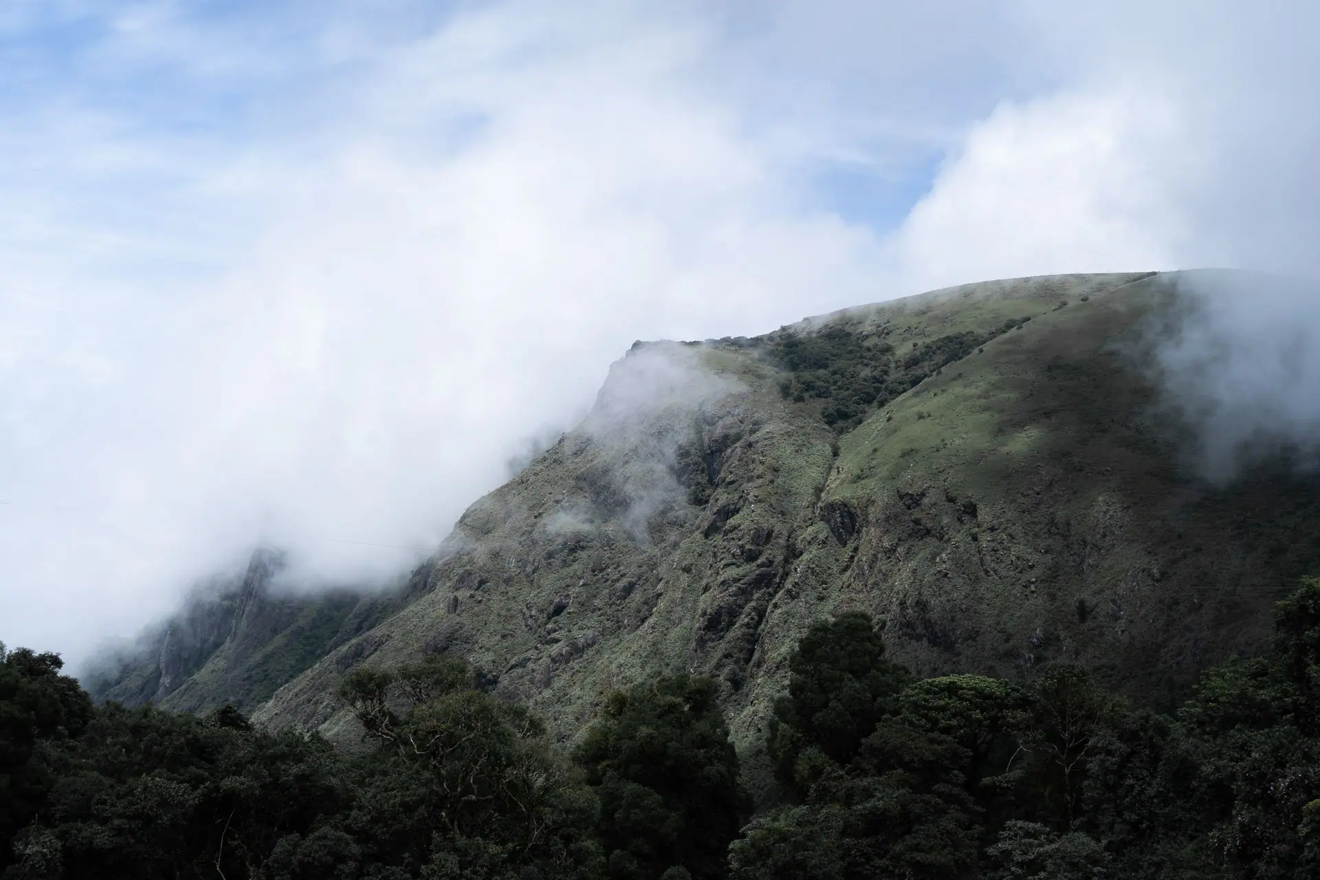 Scenic view of misty mountains and lush greenery in Ooty, Tamil Nadu, India