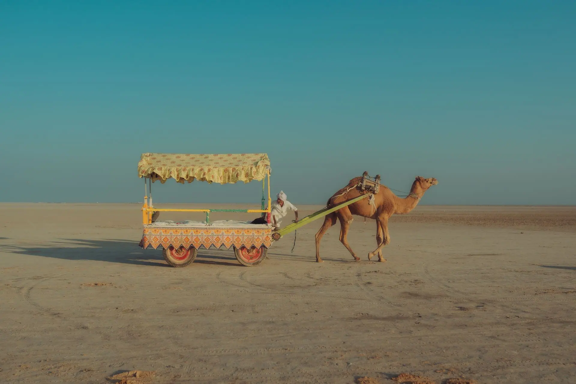 A colorful camel cart traversing the vast desert landscape of Rann of Kutch in Gujarat, India