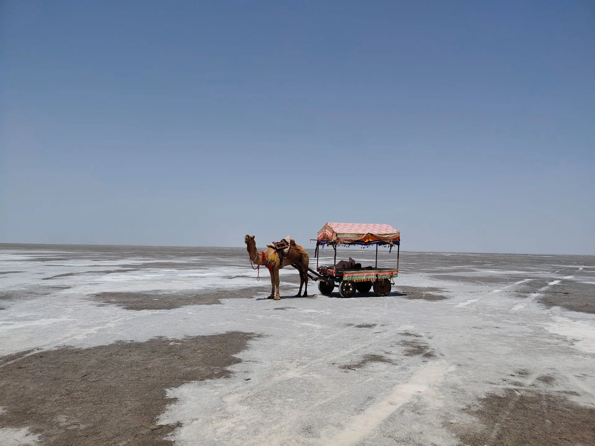 A camel cart stands alone on the expansive white salt desert of Rann of Kutch, India, under a clear blue sky