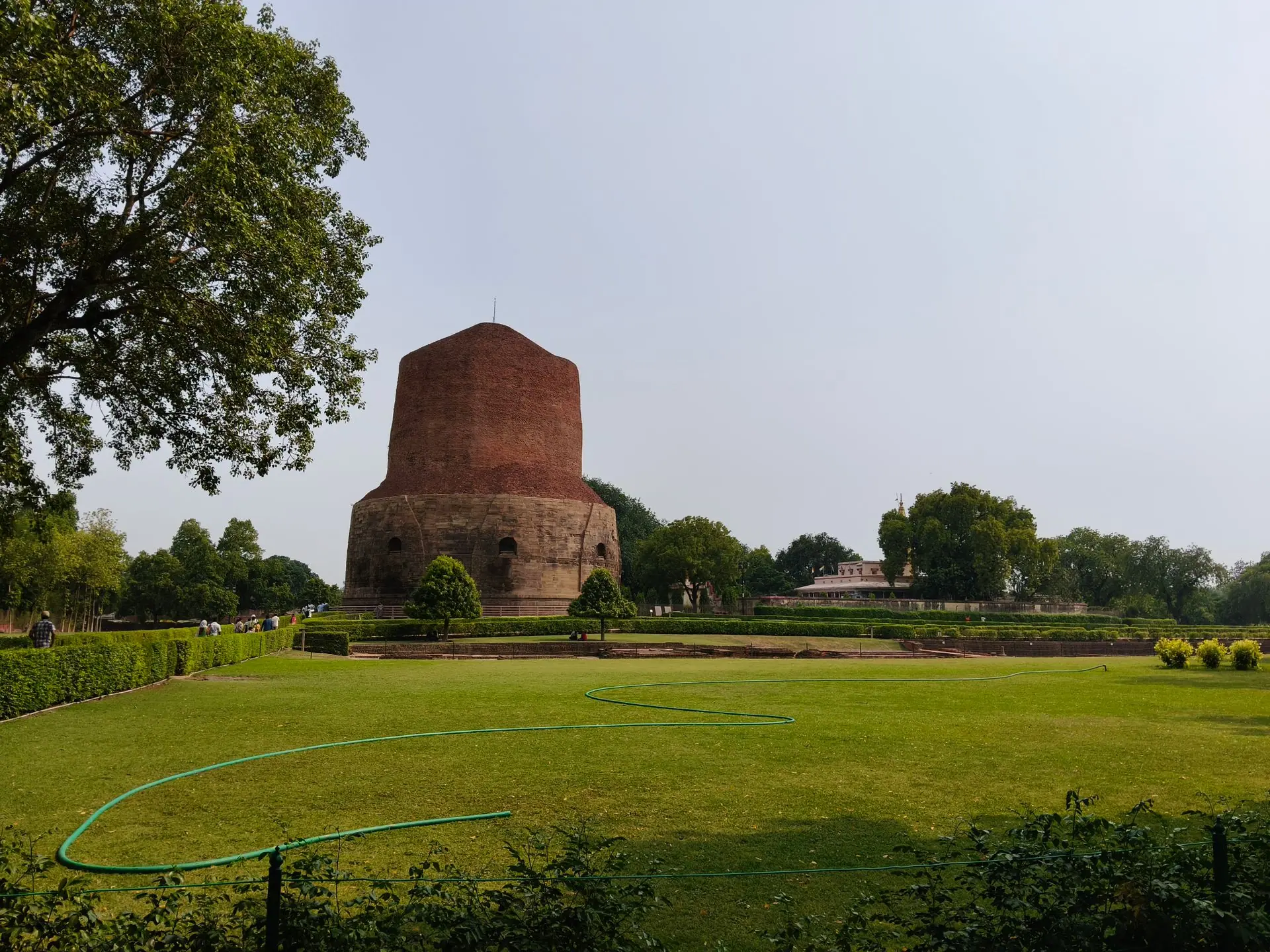 View of the historic Dhamek Stupa in Sarnath, India, surrounded by lush green gardens on a sunny day