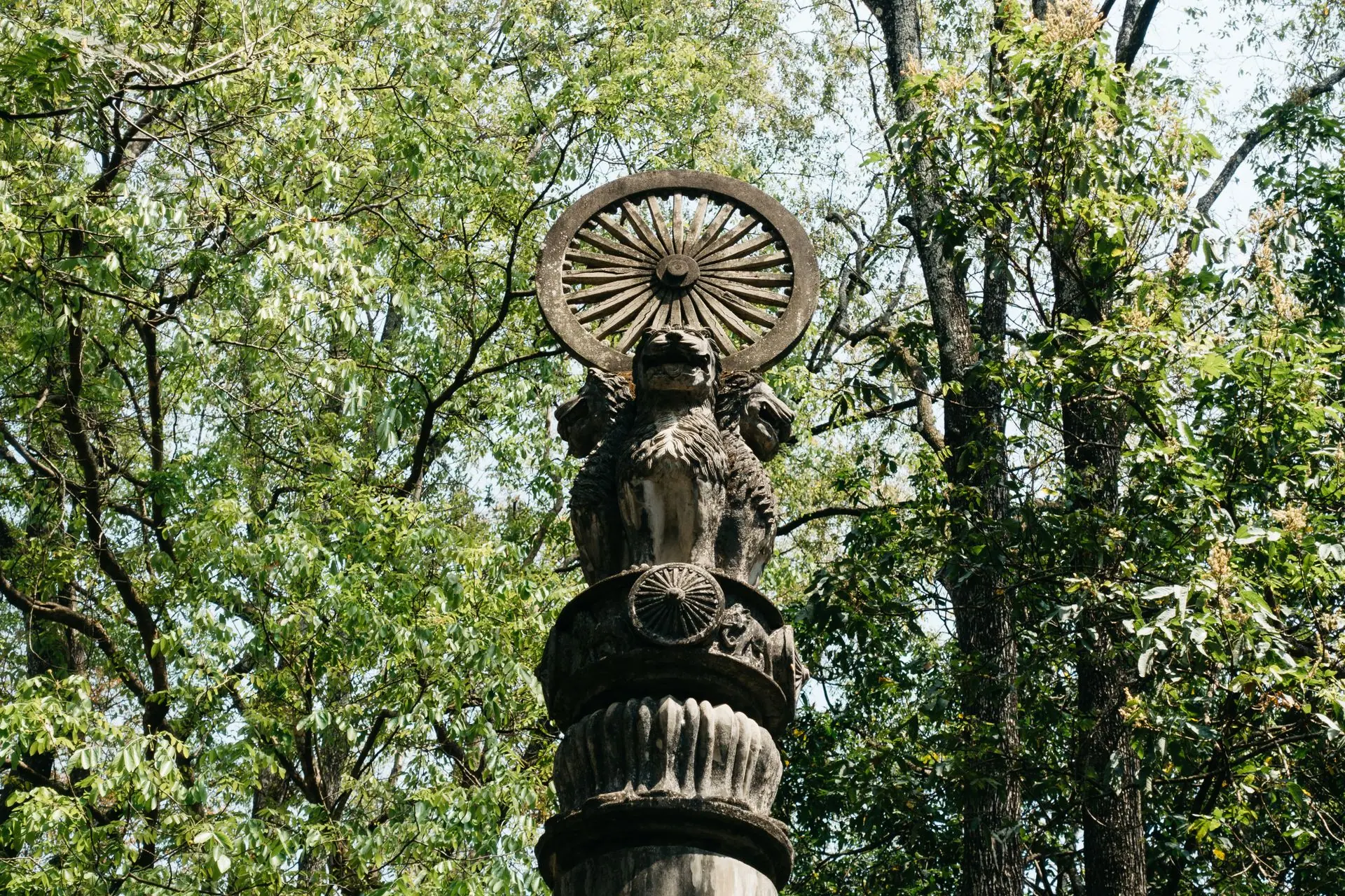 Ashoka Pillar in Sarnath amidst lush trees, a historical landmark in India