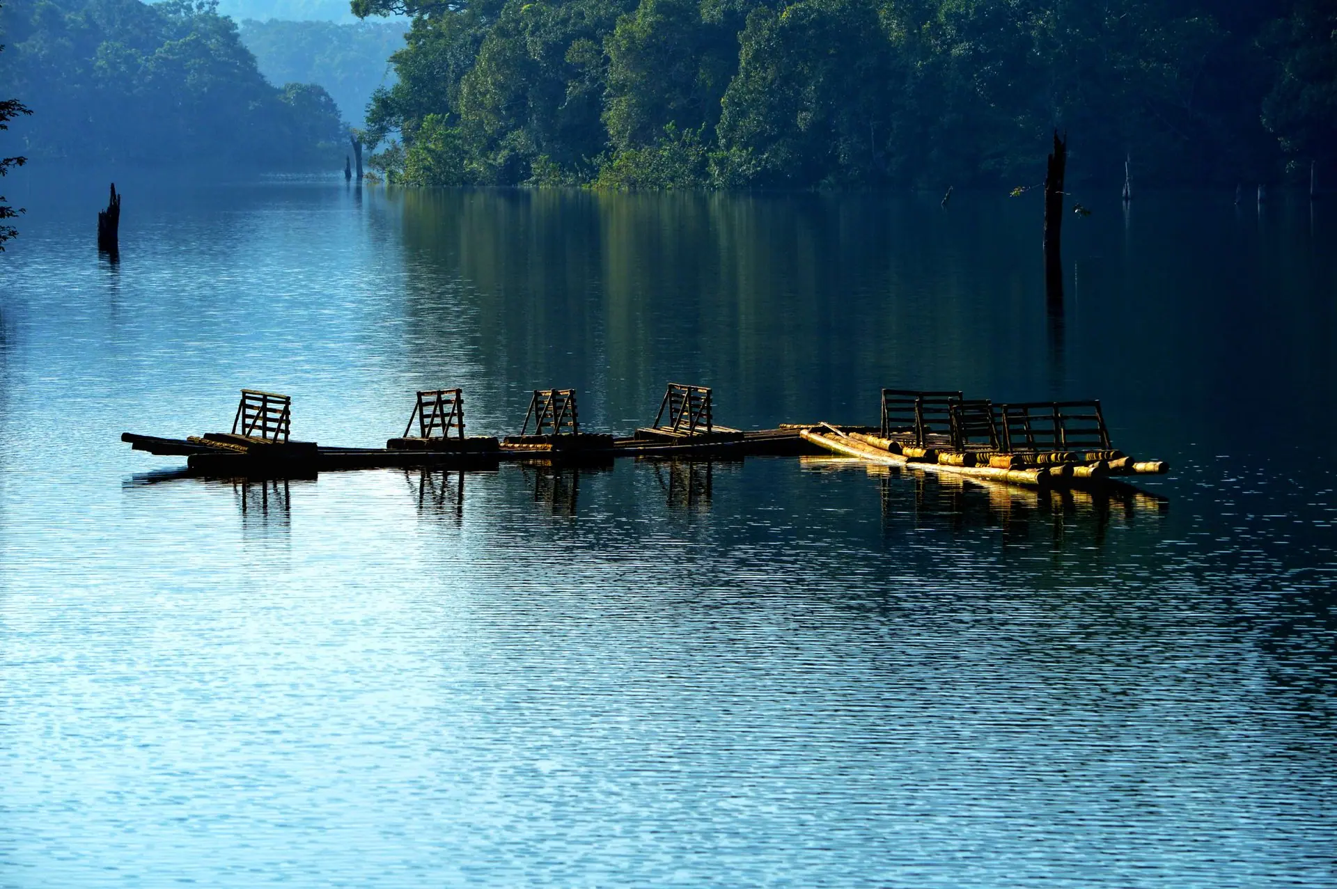 Tranquil scene of wooden rafts reflecting on serene waters surrounded by lush greenery in Periyar, India