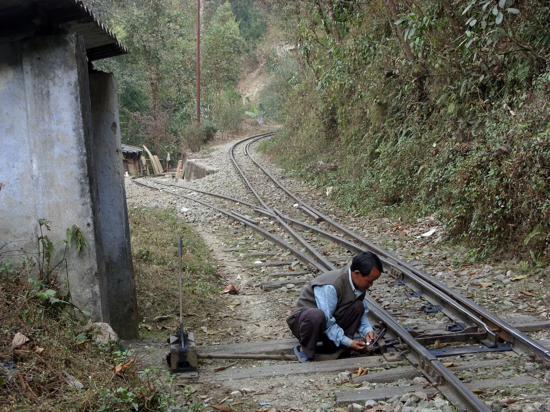 Darjeeling Railway Z Reverse