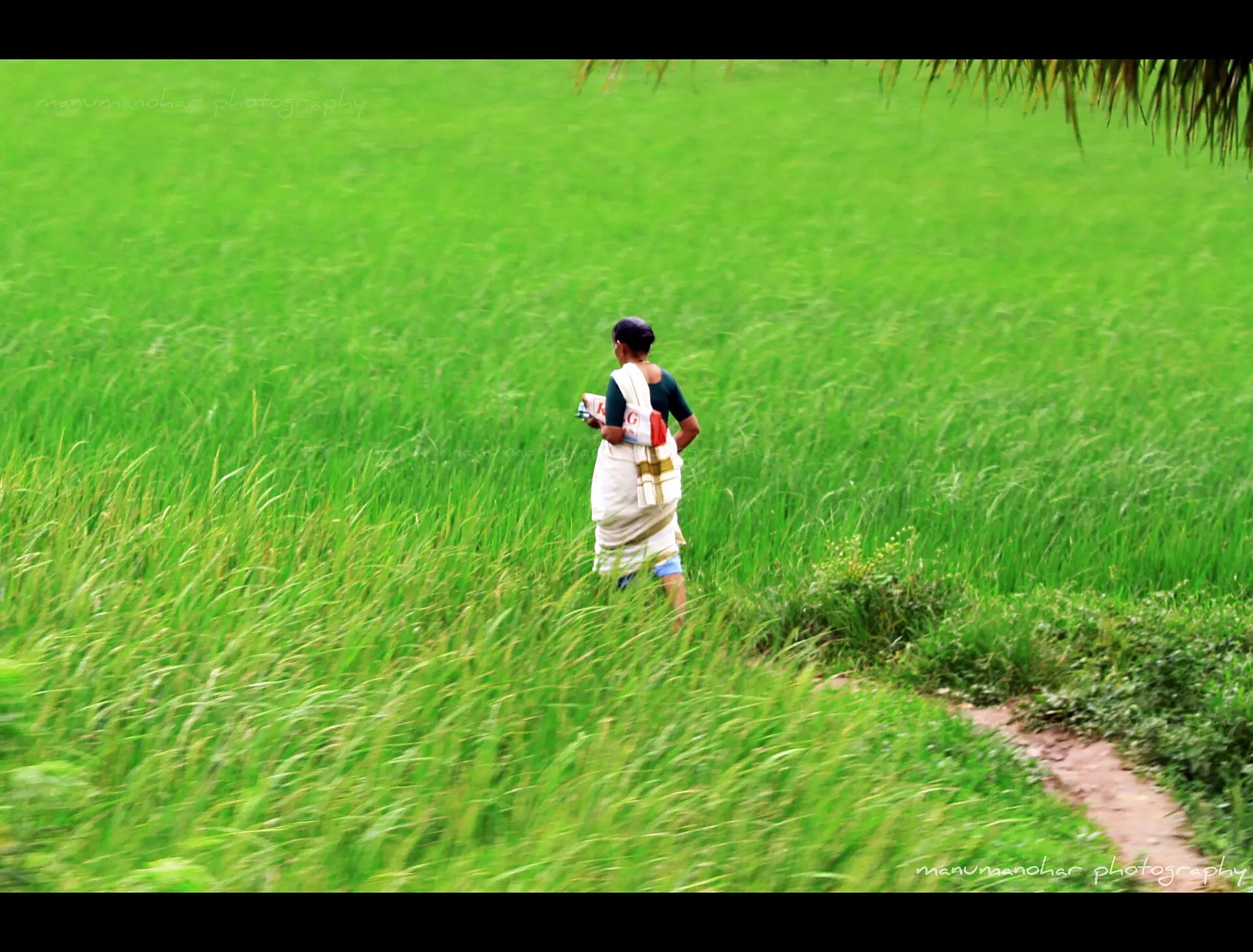 A rural woman in traditional dress on Onam in Kerala