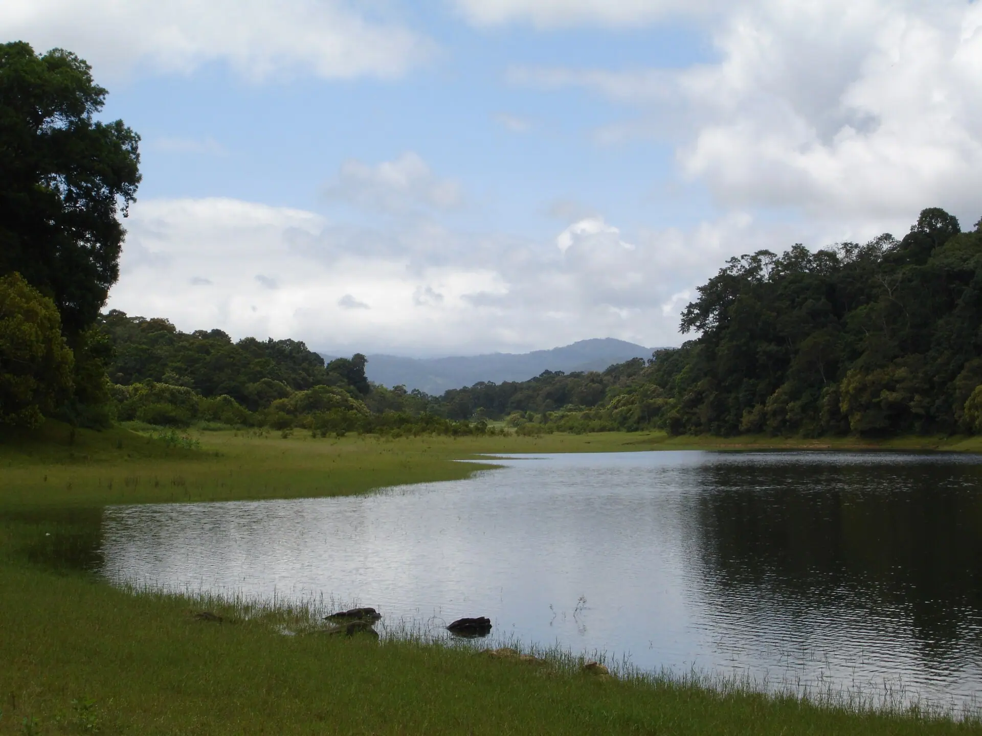 Periyar National Park - 4