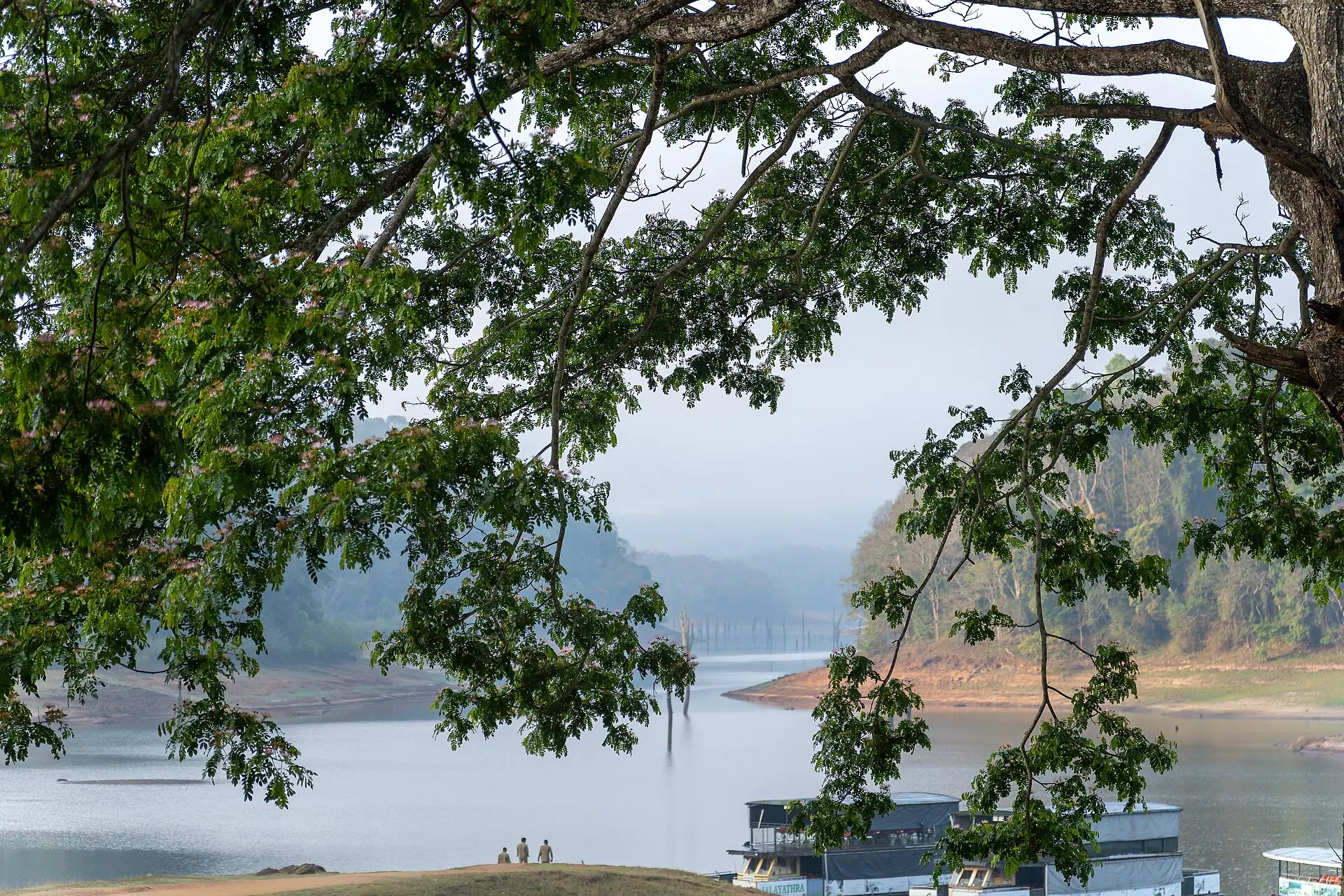 Periyar National Park-WUS07544