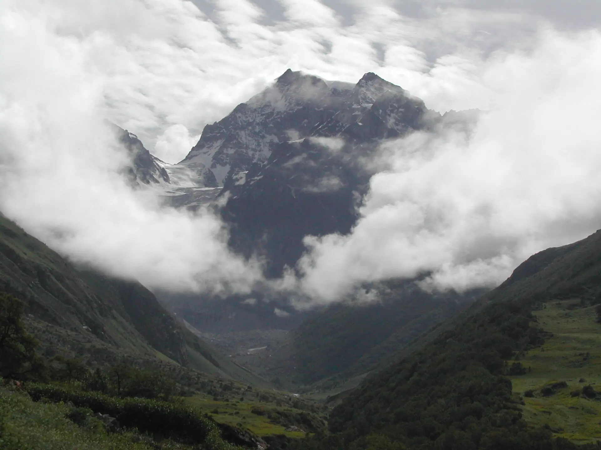 Himalaya from the valley of flowers