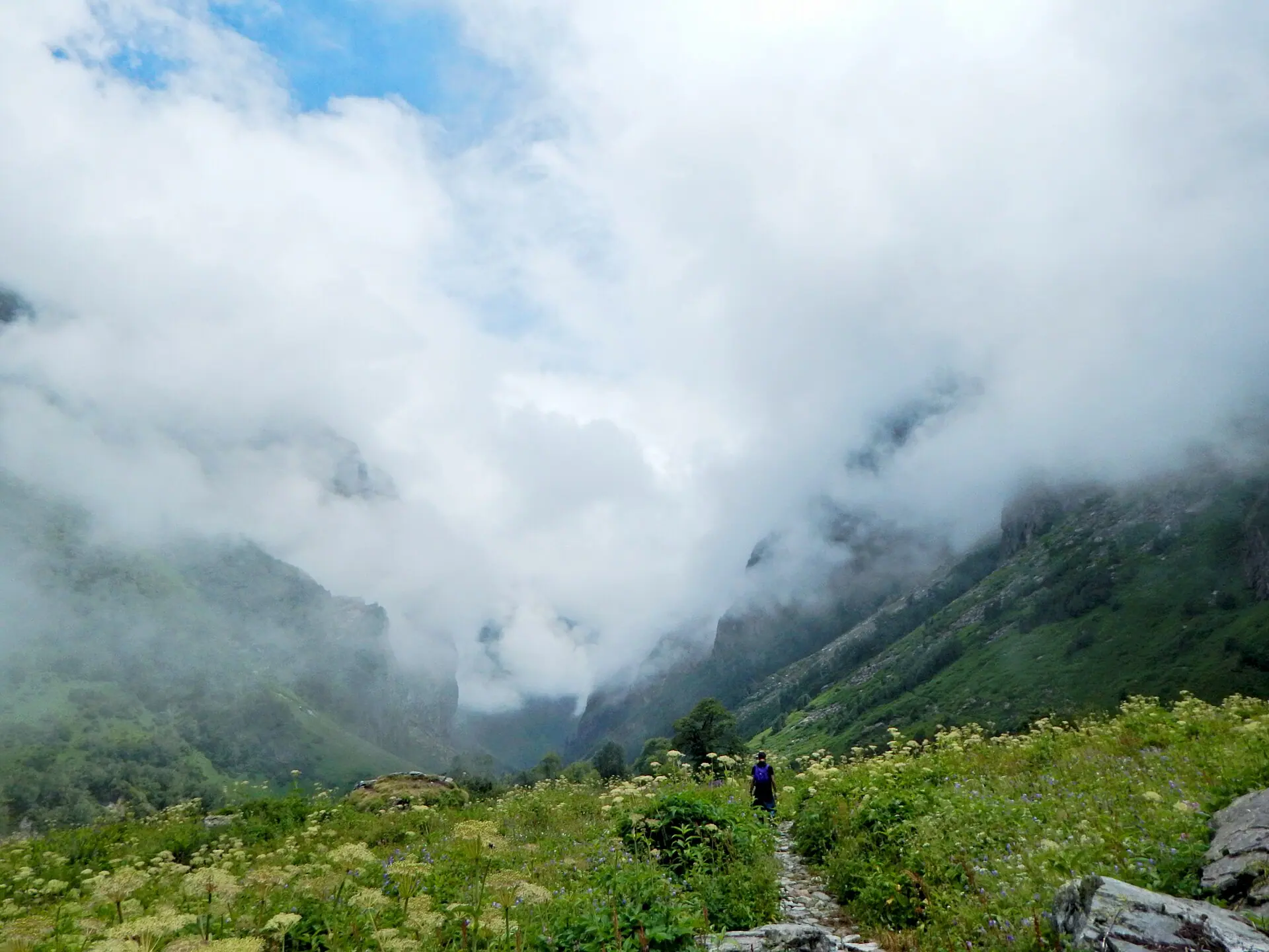 The incredible valley of Flowers