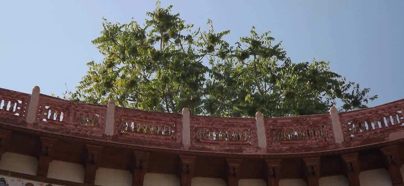 Khatu Shyam ji
