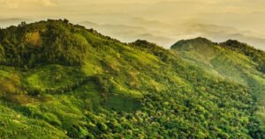 Southern India Kerala