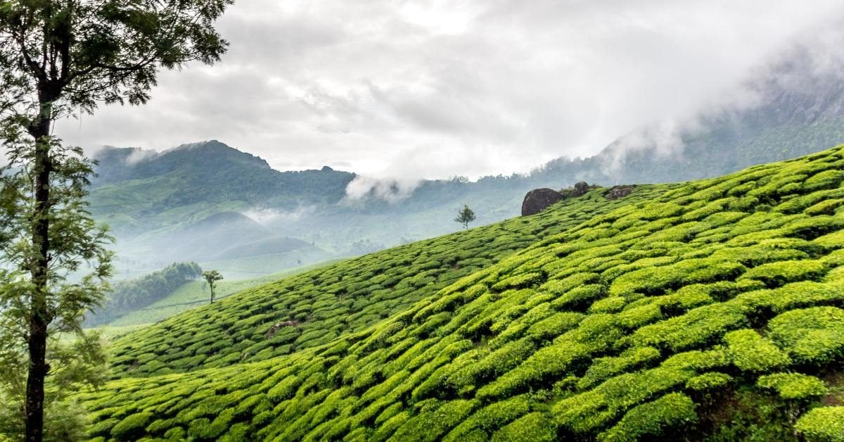 Munnar