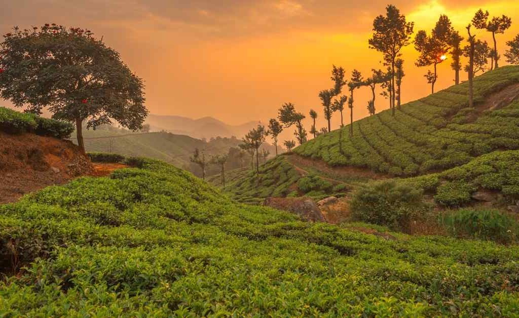 Kerala | Top 10 best places to visit in November in India