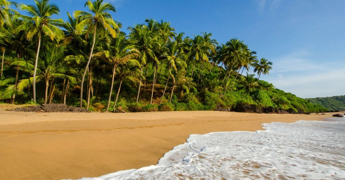 Best time for goa tourism