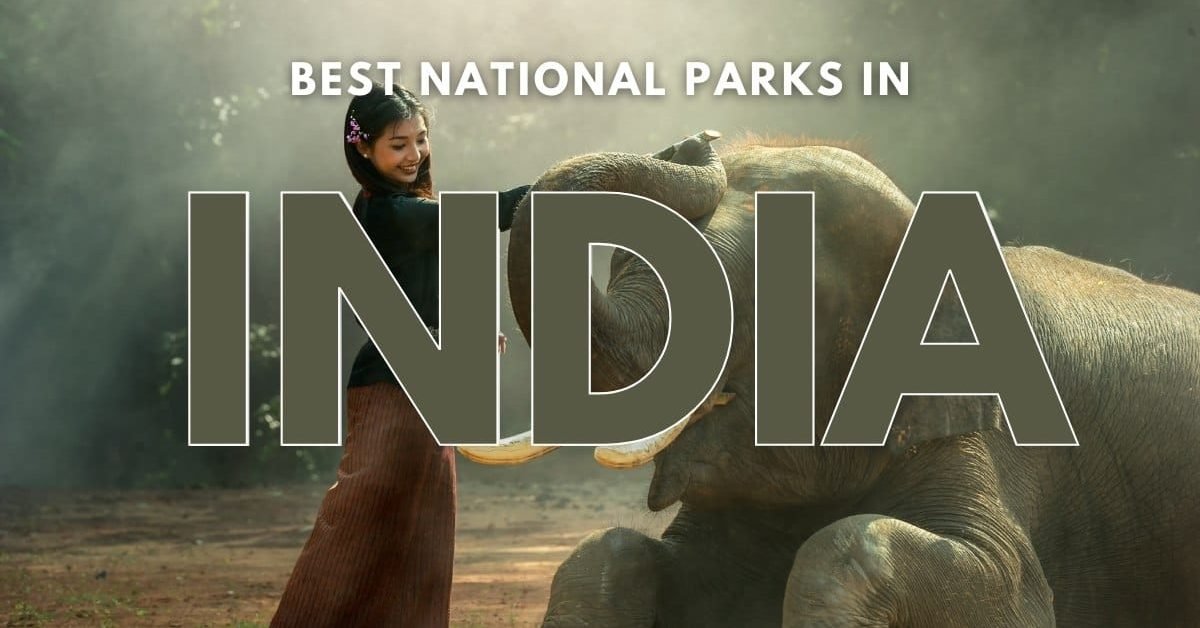 India's Best National Park