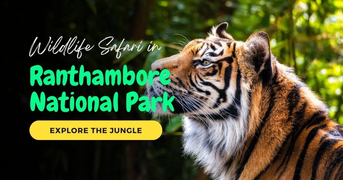 Ranthambore National Park Tours