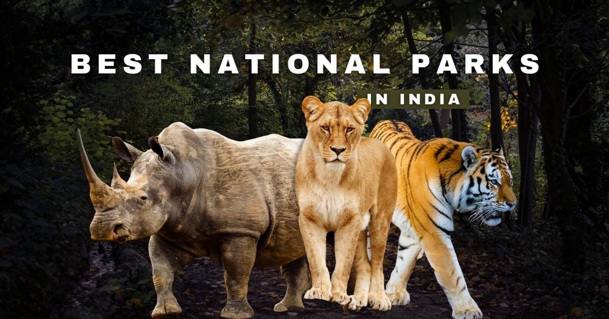 Best National Park in India