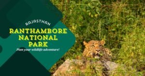 Ranthambore National Park Tours