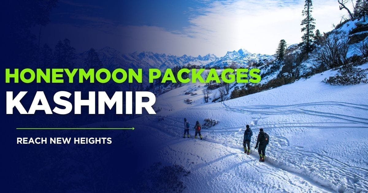 Kashmir Honeymoon Packages