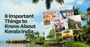 8 Important Things to Know About Kerala India