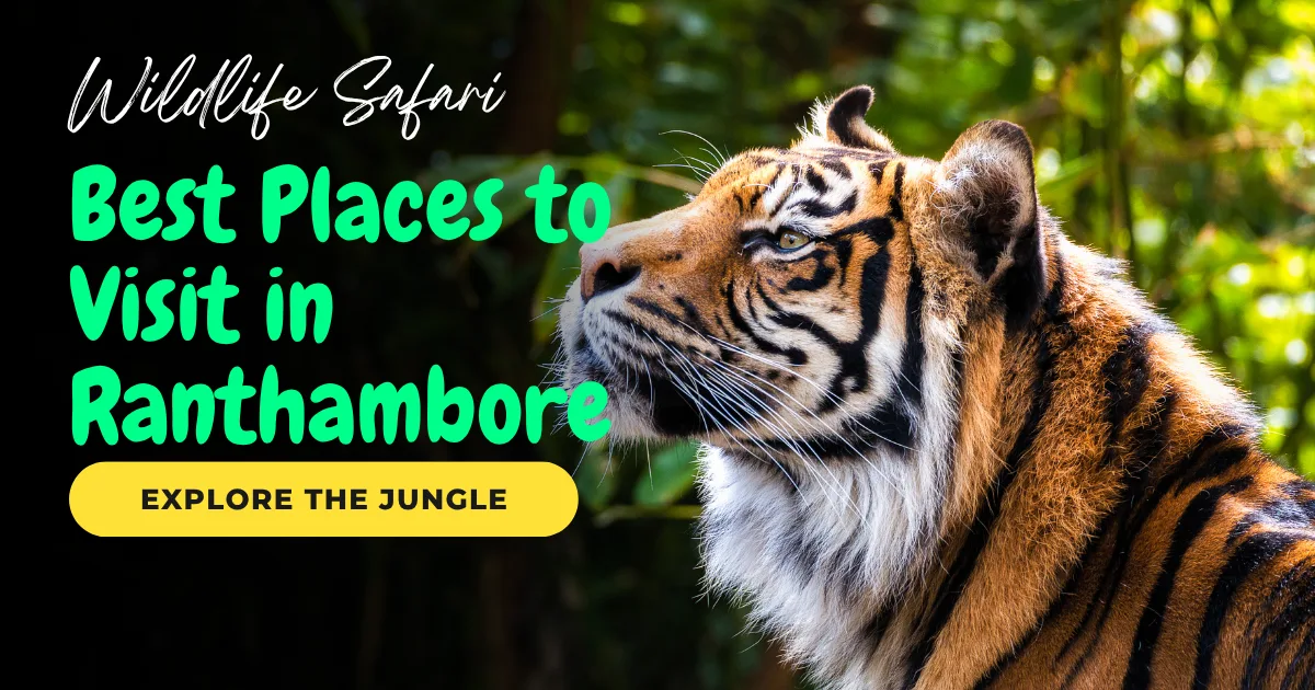 Best Places to Visit in Ranthambore