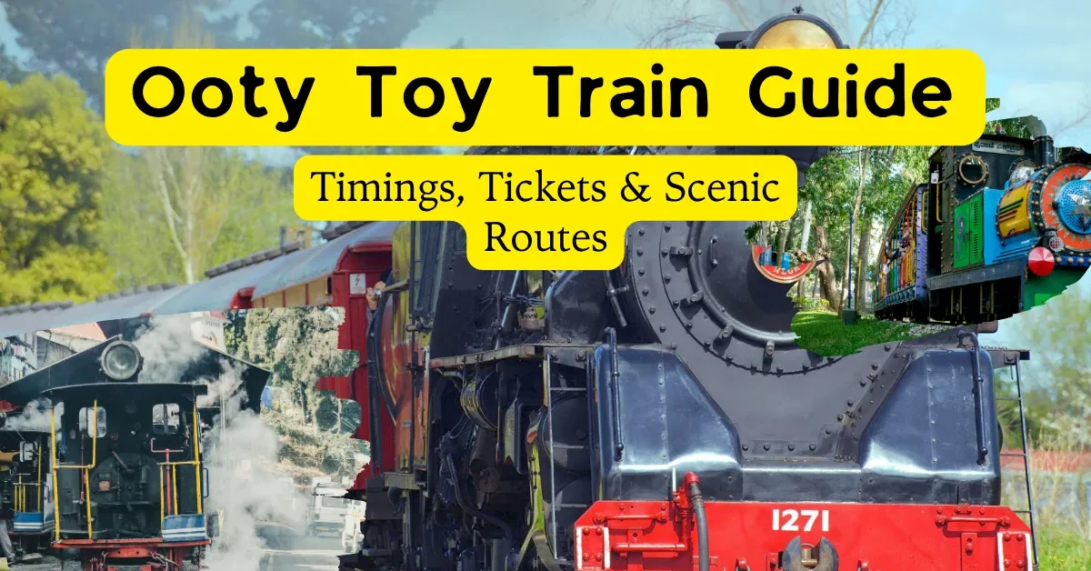 Ooty Toy Train Guide