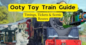Ooty Toy Train Guide