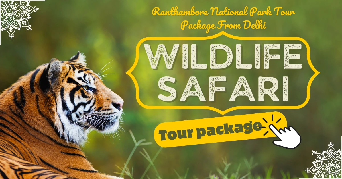 Ranthambore National Park Tour Package From Delhi