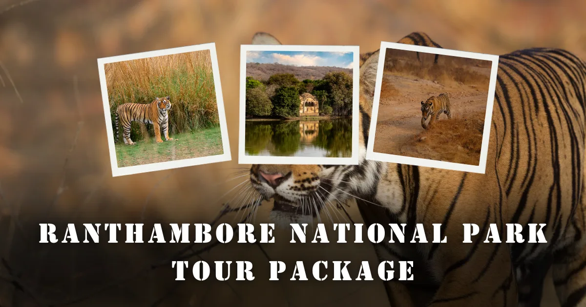 Ranthambore National Park Tour Package