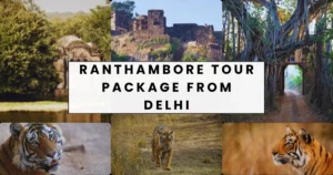 Ranthambore Tour Package from Delhi