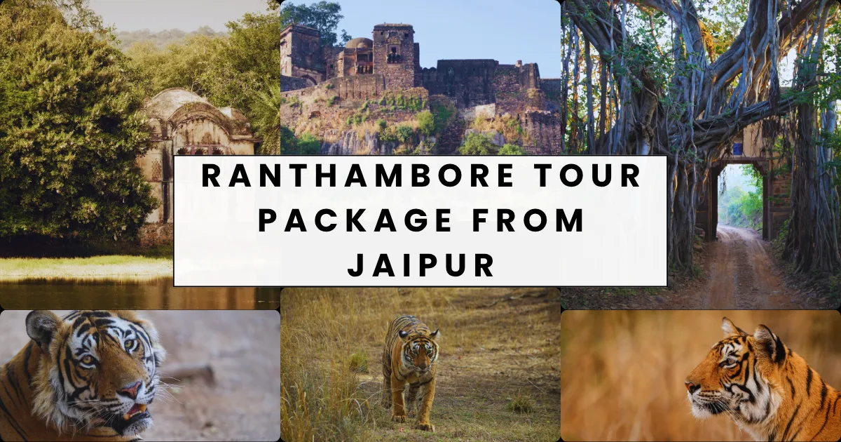 Ranthambore Tour Package from Jaipur