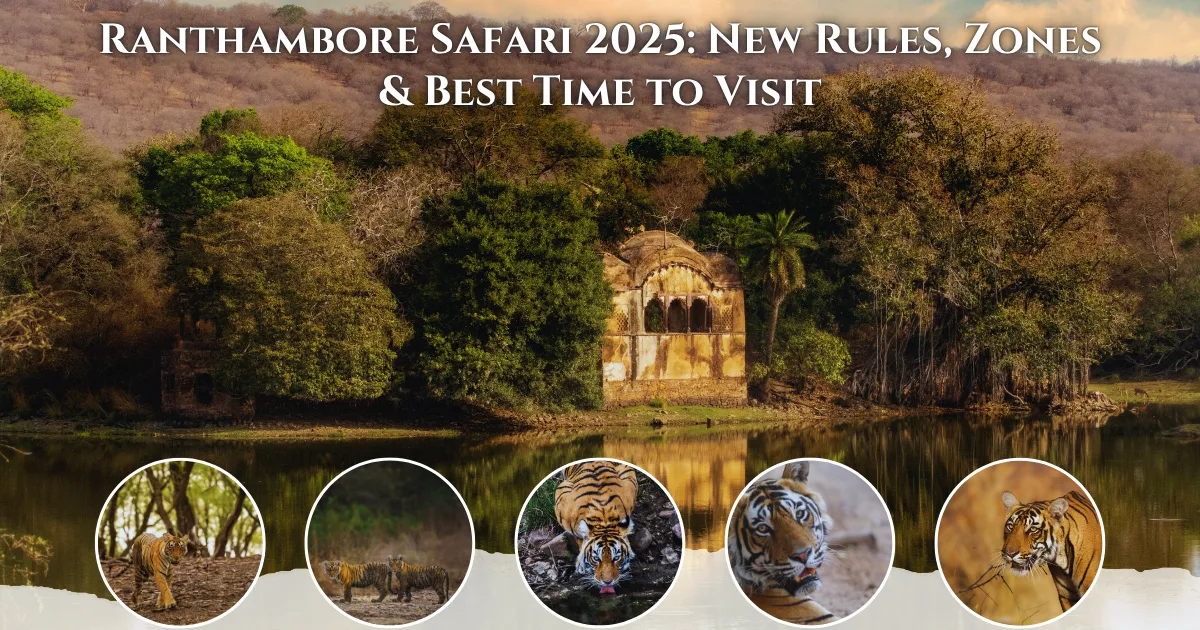 Ranthambore Safari 2025
