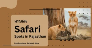 Top Wildlife Safari Spots in Rajasthan