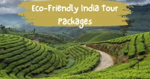 Eco-Friendly India Tour Packages