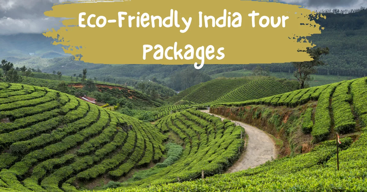 Eco-Friendly India Tour Packages