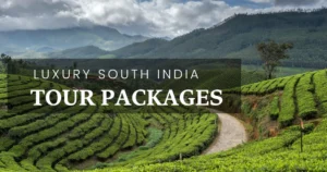 Luxury South India Tour Packages