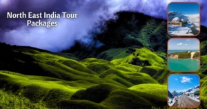 North East India Tour Packages