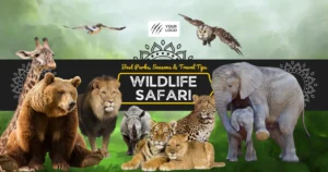 Wildlife Safari Tour Packages in India