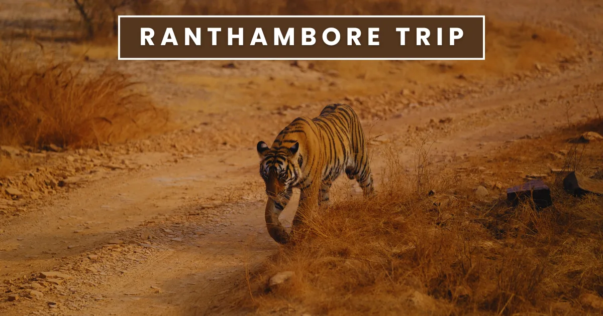 Ranthambore Trip